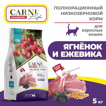 CARNI LIFE Adult 5 кг сухой корм для взрослых кошек с ягненком, ежевикой и клюквой