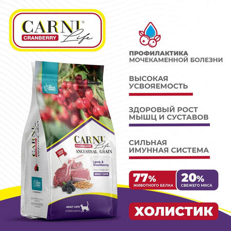 CARNI LIFE Adult 10 кг сухой корм для взрослых кошек с ягненком, ежевикой и клюквой