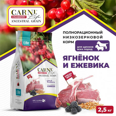 CARNI LIFE Puppy All Breeds 2,5 кг сухой корм для щенков всех пород с ягненоком, ежевикой и клюквой