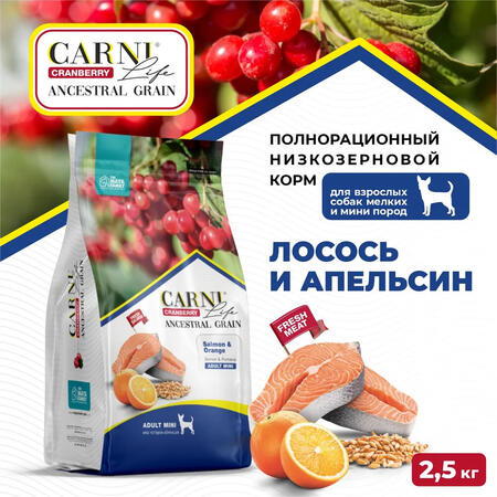 CARNI LIFE Adult Mini 2,5 кг сухой корм для взрослых собак мелких пород с лососем, апельсином и клюквой