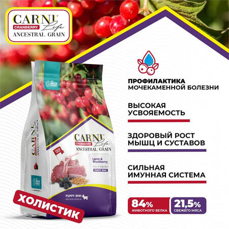 CARNI LIFE Puppy Mini 7 кг сухой корм для щенков мелких пород с ягненком, ежевикой и клюквой