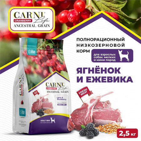 CARNI LIFE Adult Mini 2,5 кг сухой корм для взрослых собак мелких пород с ягненком, ежевикой и клюквой