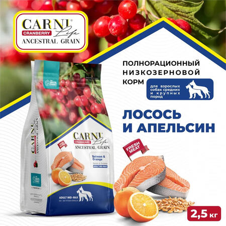 CARNI LIFE Adult MID MAX 2,5 кг сухой корм для взрослых собак средних и крупных пород с лососем, апельсином и клюквой