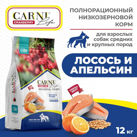 CARNI LIFE Adult MID MAX 12 кг сухой корм для взрослых собак средних и крупных пород с лососем, апельсином и клюквой