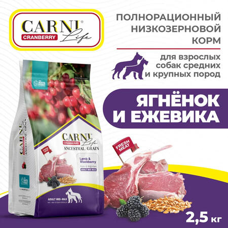 CARNI LIFE Adult MID MAX 2,5 кг сухой корм для взрослых собак средних и крупных пород с ягненком, ежевикой и клюквой