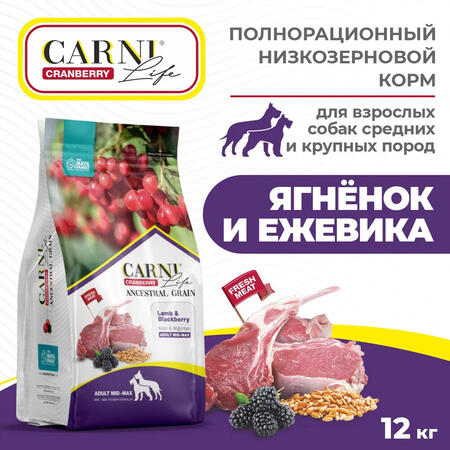 CARNI LIFE Adult MID MAX 12 кг сухой корм для взрослых собак средних и крупных пород с ягненком, ежевикой и клюквой