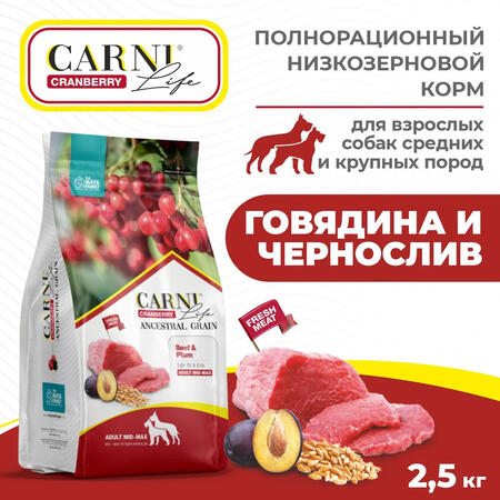 CARNI LIFE Adult MID MAX 2,5 кг сухой корм для взрослых собак средних и крупных пород с говядиной, черносливом и клюквой