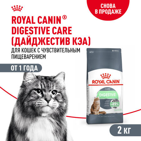 ROYAL CANIN DIGESTIVE CARE 2 кг сухой корм для взрослых кошек для поддержания здоровья пищеварительной системы