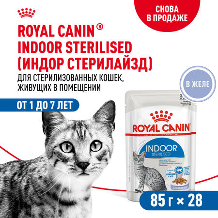 ROYAL CANIN INDOOR STERILISED 28 шт 85 г влажный корм, кусочки в желе для стерилизованных кошек от 1 до 7 лет, живущих в помещении