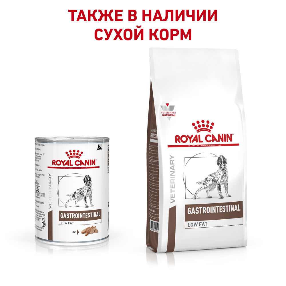 Fibre response для кошек 2 кг. Роял Канин фибре. Gastrointestinal Fibre response корм для кошек. Корм Роял Канин Гепатик для кошек. Роял Канин Файбер пауч.