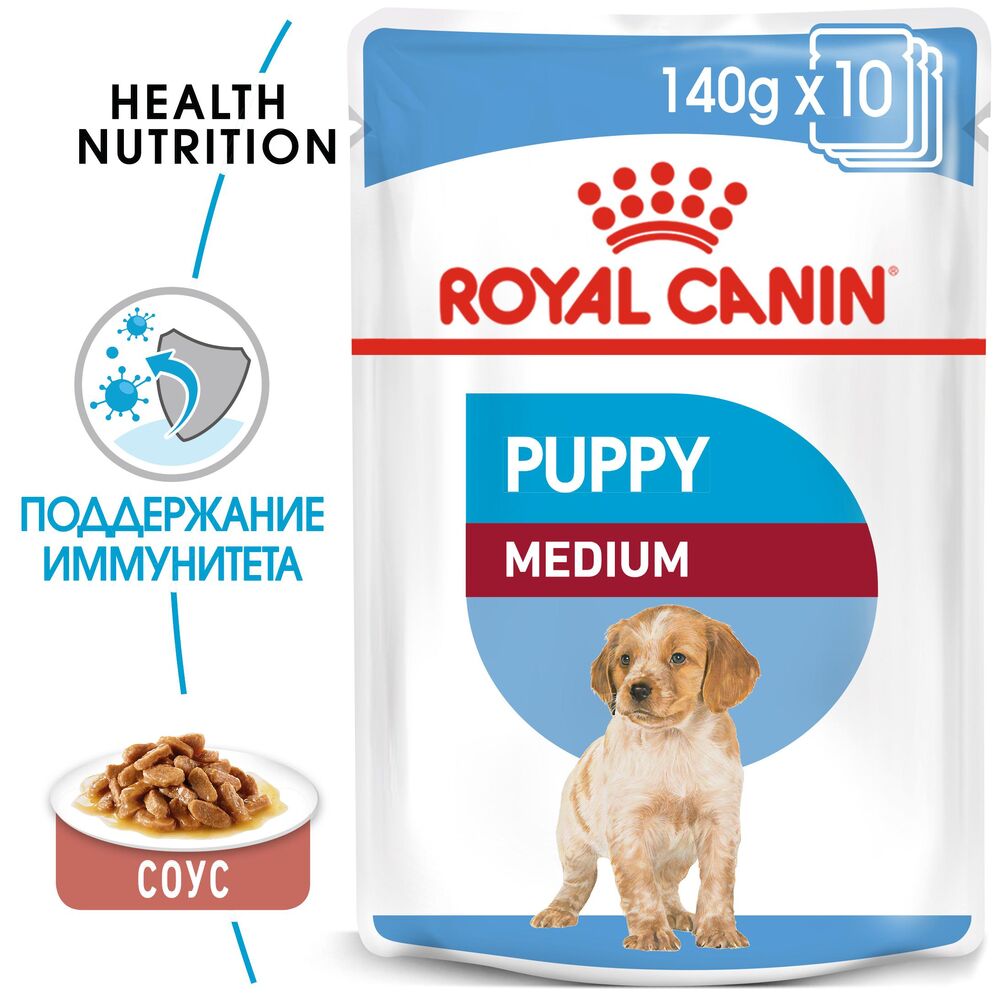 royal canin puppy maxi wet food