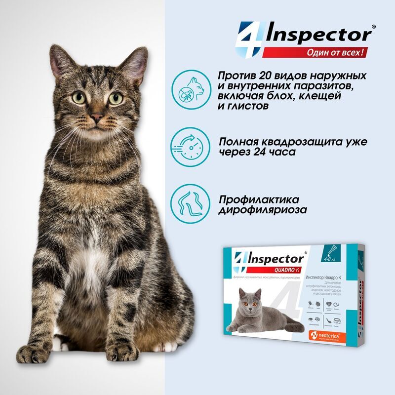 Капли от клещей инспектор для кошек. Капли для кошек "Inspector Quadro" 1-4 кг от блох. Инспектор Квадро капли от паразитов для кошек 4-8кг. Инспектор Квадро к для кошек. Инспектор Квадро к для кошек 4-8 кг.