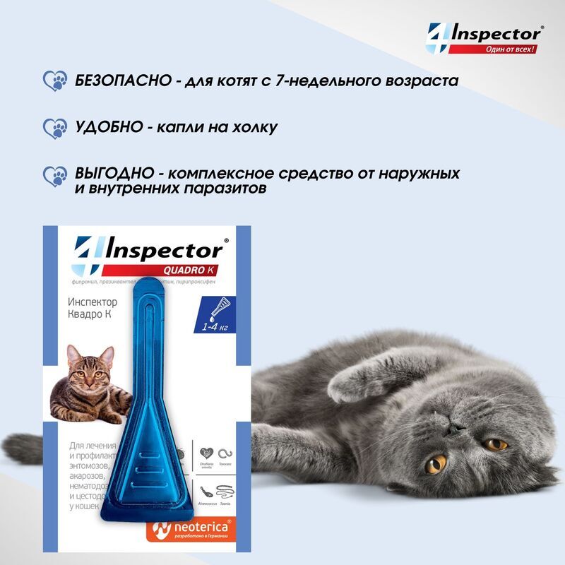 Капли инспектор для кошек купить. Инспектор Квадро капли от паразитов для кошек 4-8кг. Инспектор Квадро к для кошек. Инспектор Квадро к для кошек 4-8 кг. Инспектор для кошек 1-4 кг.