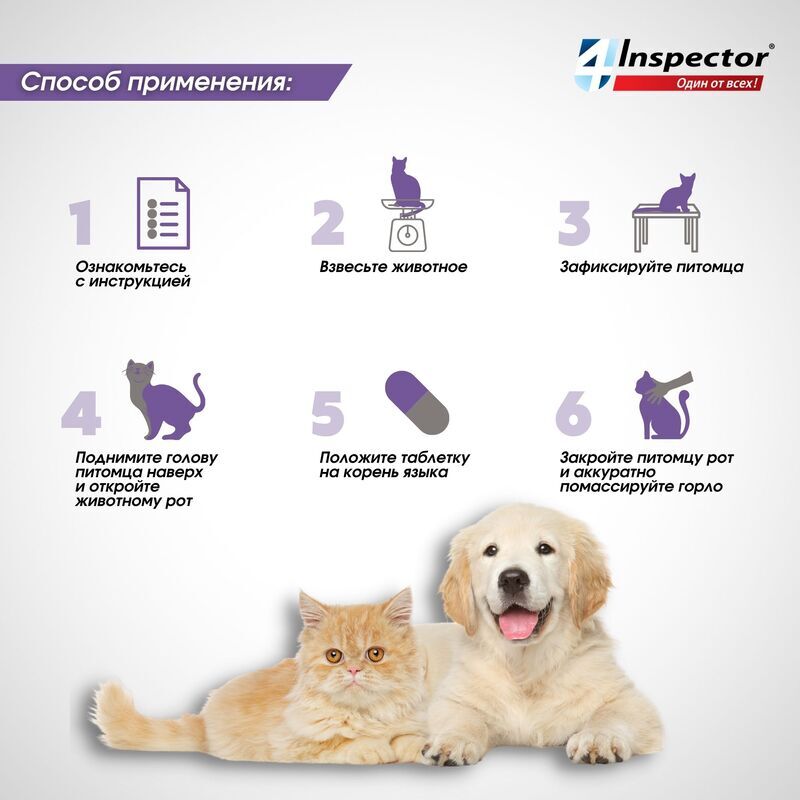 Inspector Quadro таблетки для собак 2-8 кг. Инспектор для кошек и собак. Таблетки от клещей для собак инспектор. Таблетки от блох и глистов для кошек. Инспектор для кошек и собак инструкция