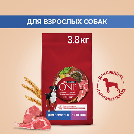 Purina ONE сухой корм для собак, для взрослых собак средних и крупных пород, с ягненком и рисом